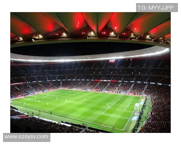 意大利现役足球球星风采与绿茵赛场荣耀全景解析